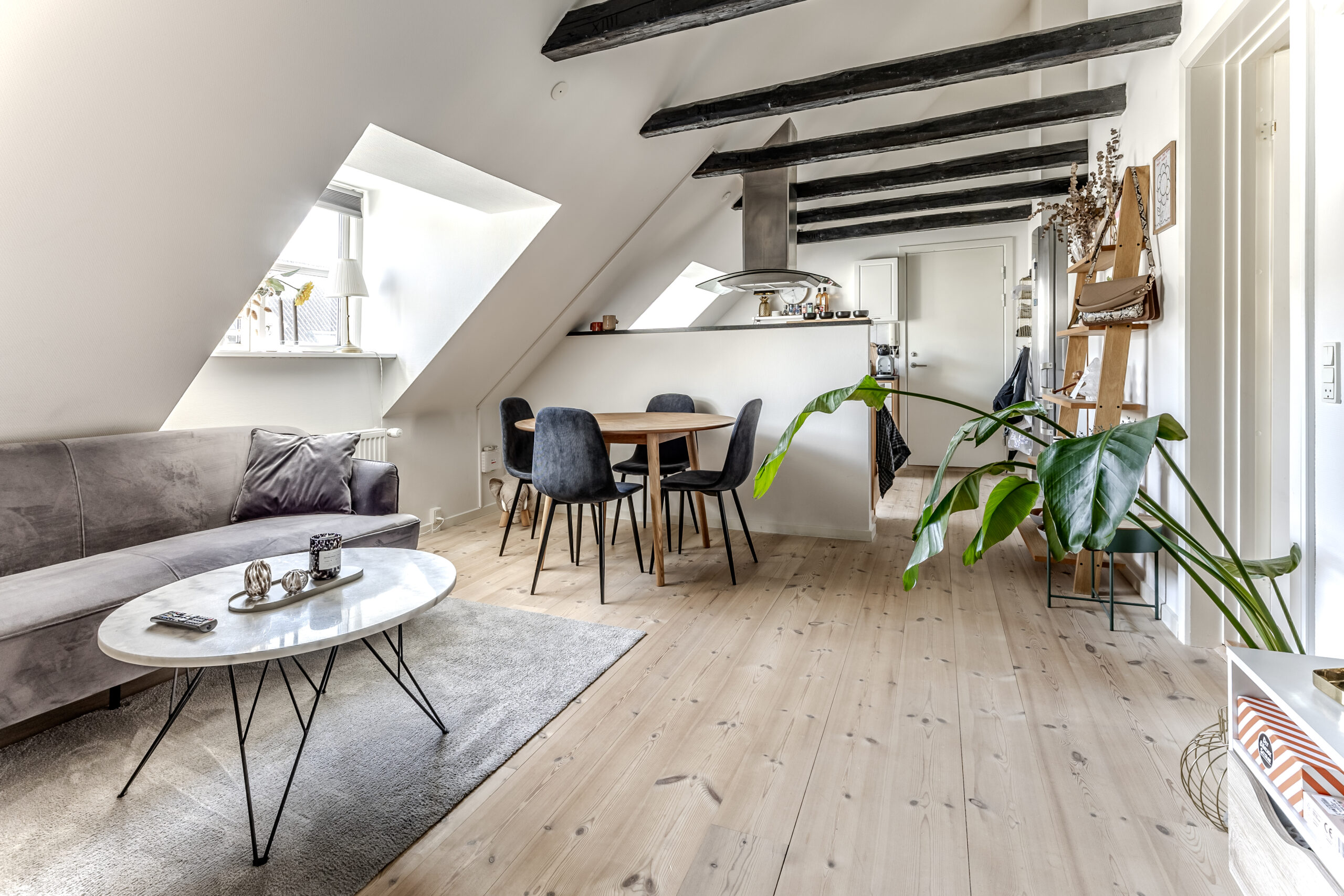 04_2026_c28_3_th_Stine-15